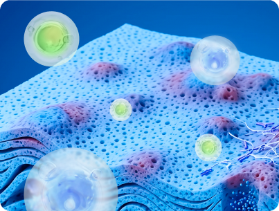 Лечение аллергодерматозов у взрослых